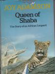 queen of shaba 001